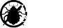 Insektor Błysk - zwalczanie insektów, wirusów, bakterii
